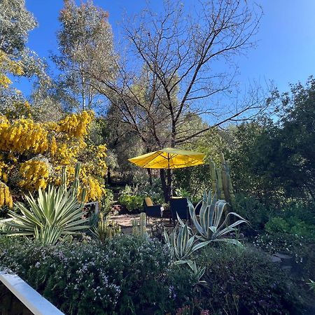 Villa La Reforma - Newly Designed 4Br House & Pool In Los Angeles By Topanga Exterior photo