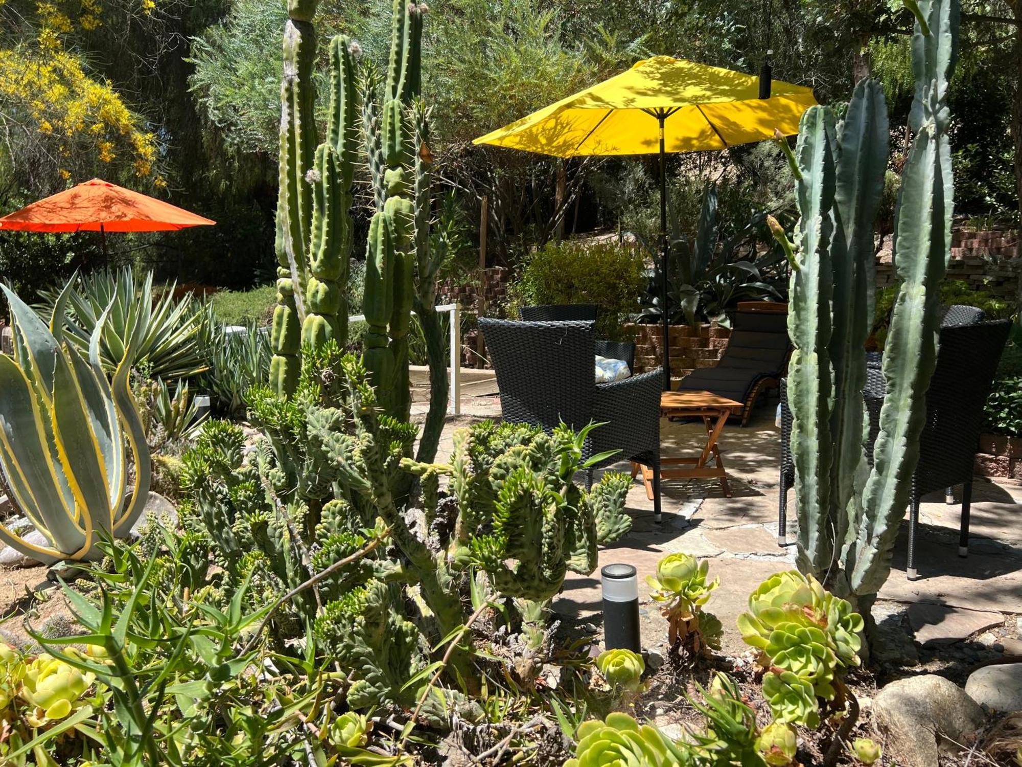 Villa La Reforma - Newly Designed 4Br House & Pool In Los Angeles By Topanga Exterior photo